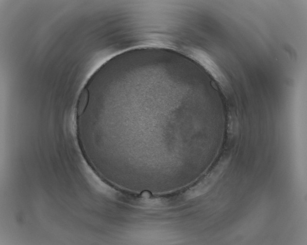X0000111001468200906191541