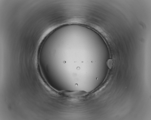 X0000111001469200906191541