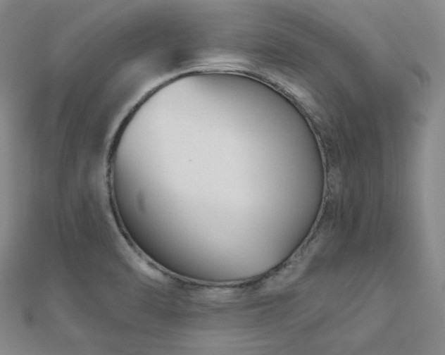X0000111001470200906191541
