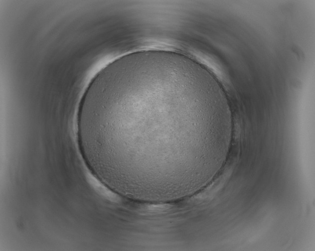 X0000111001471200906191541