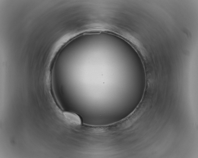 X0000111001472200906191541