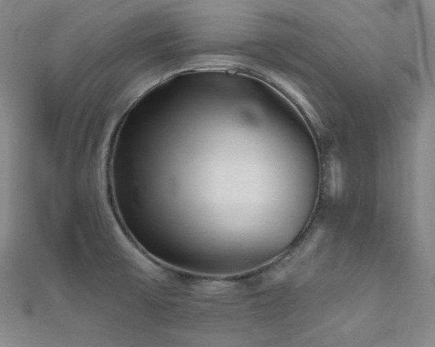 X0000111001475200906191541