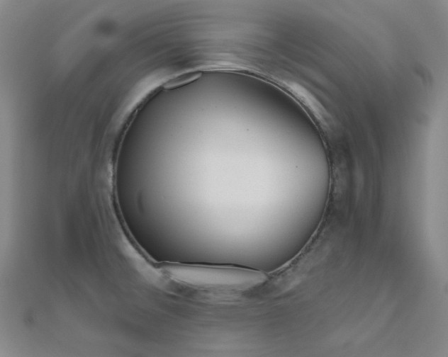 X0000111001476200906191540