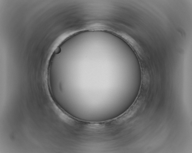 X0000111001478200906191540
