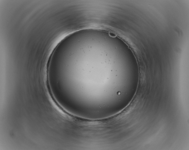 X0000111001479200906191540