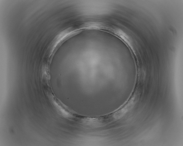 X0000111001481200906191540