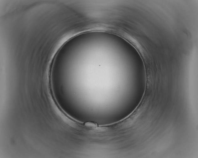 X0000111001483200906191540