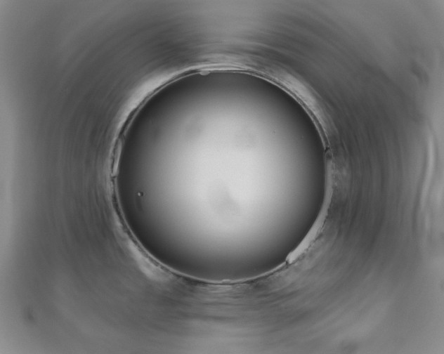 X0000111001485200906191540