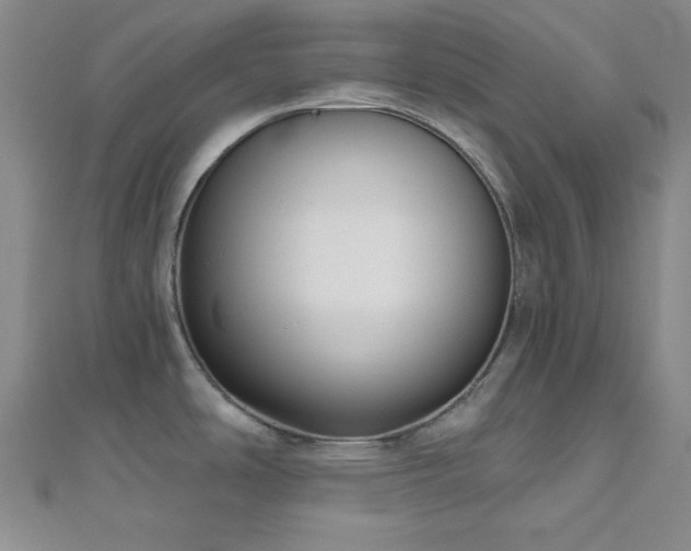 X0000111001486200906191540