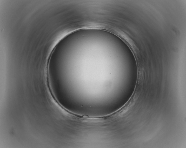 X0000111001487200906191540