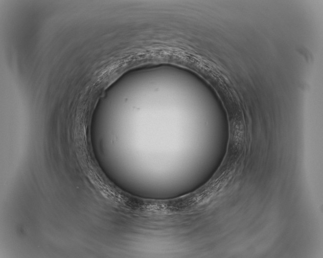 X0000111001489200906191540