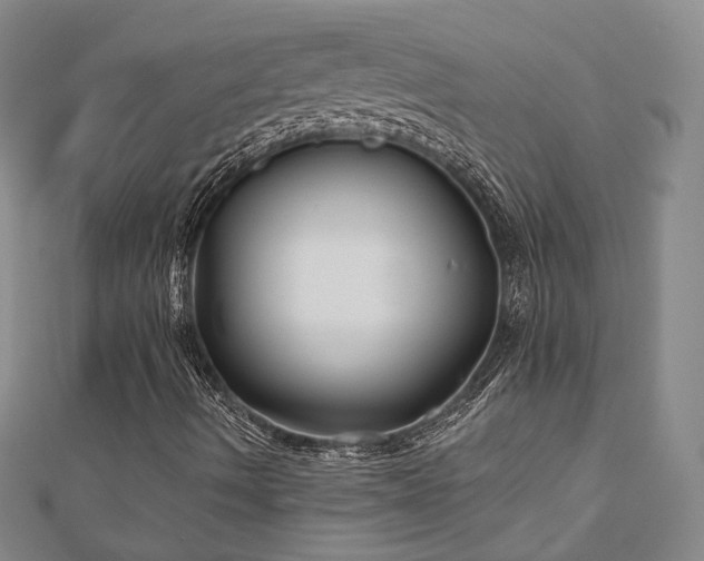 X0000111001490200906191540
