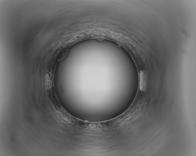 X0000111001491200906191540
