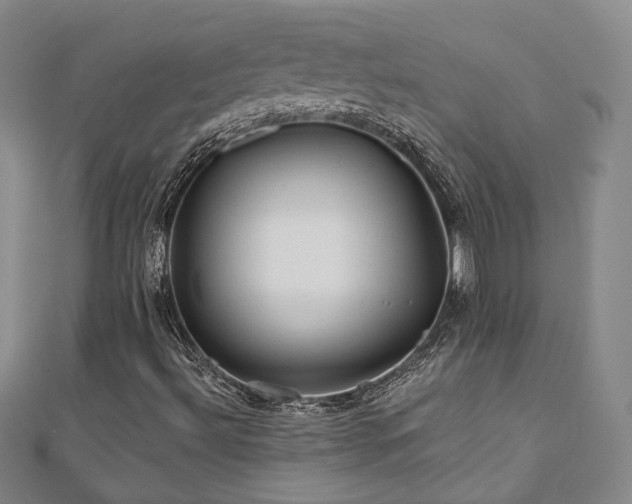 X0000111001492200906191540