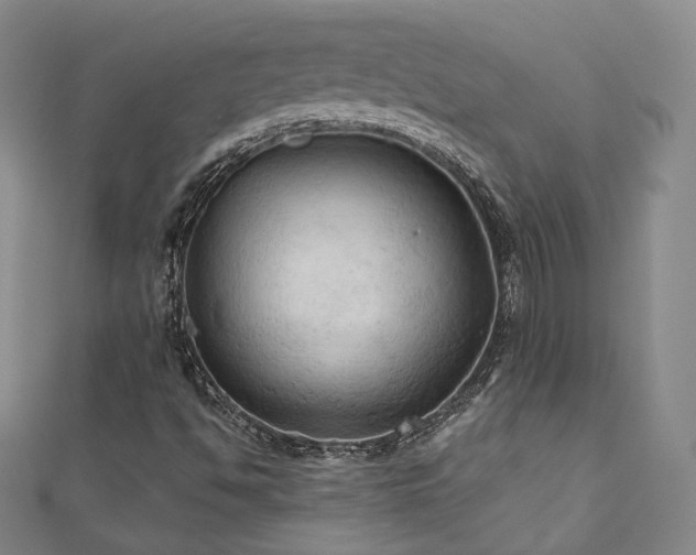 X0000111001494200906191540