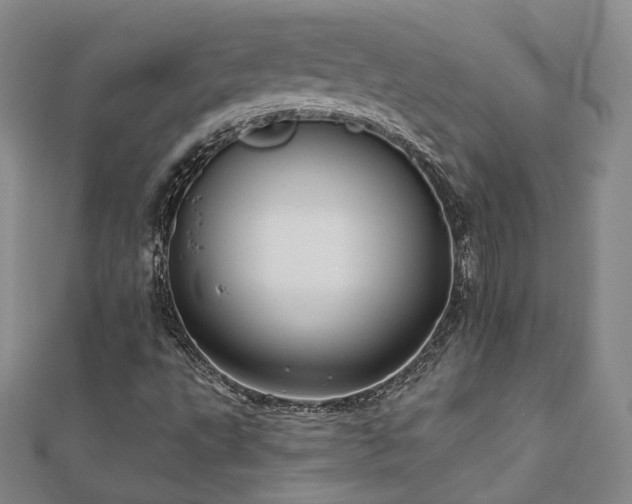 X0000111001495200906191540