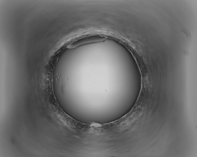 X0000111001496200906191540