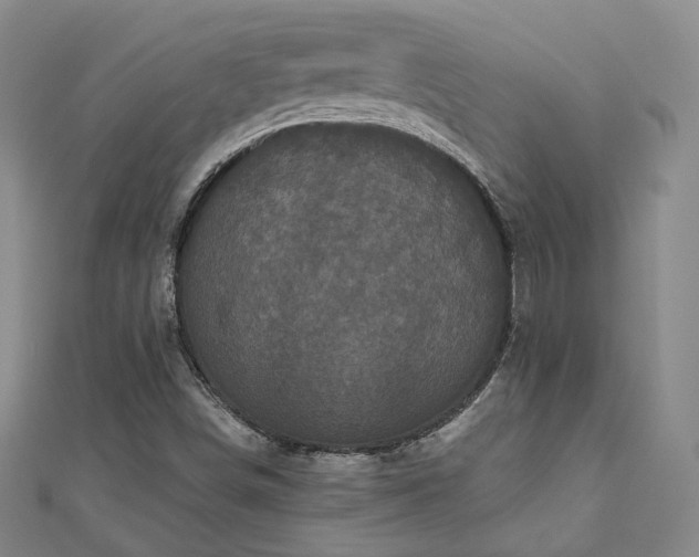 X0000111001498200906191540