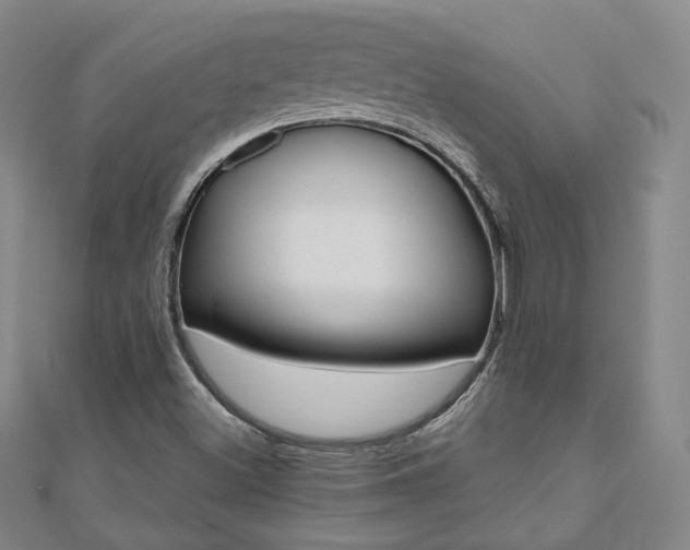 X0000111001500200906191540