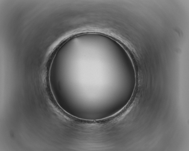 X0000111001502200906191540
