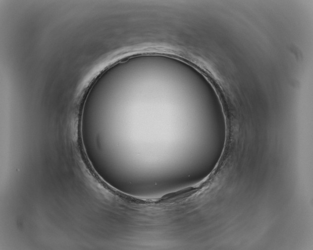 X0000111001504200906191540