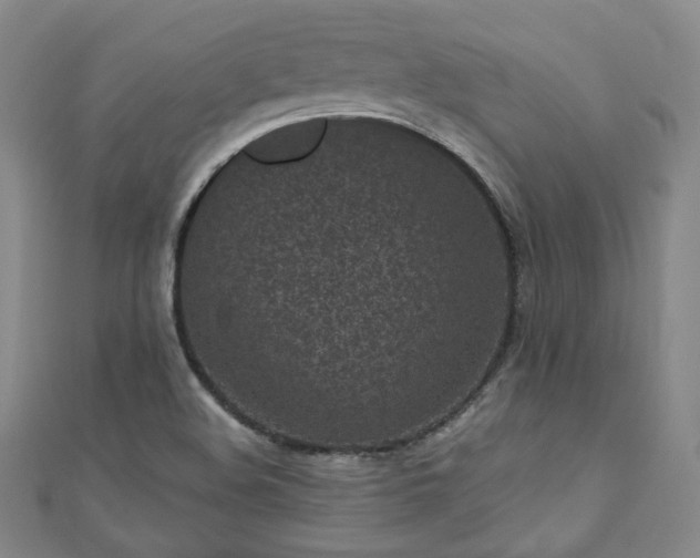 X0000111001508200906191540