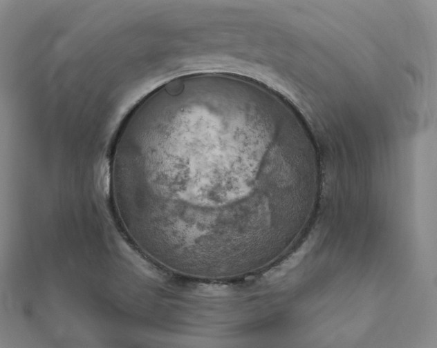 X0000111001509200906191540