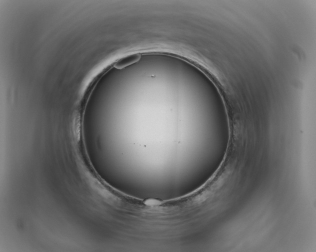 X0000111001510200906191540