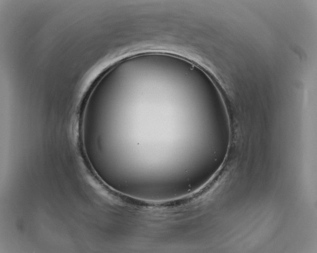 X0000111001511200906191540