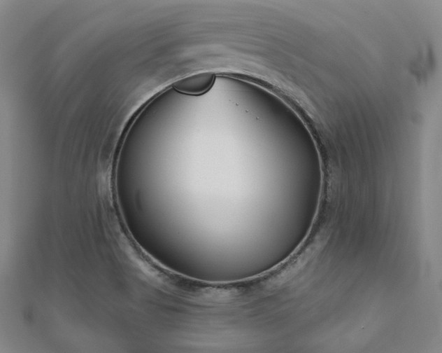 X0000111001513200906191540