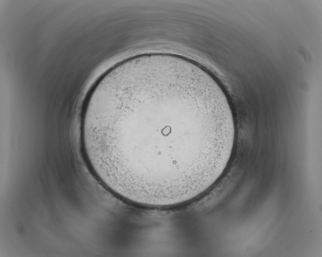 X0000111001514200906191540