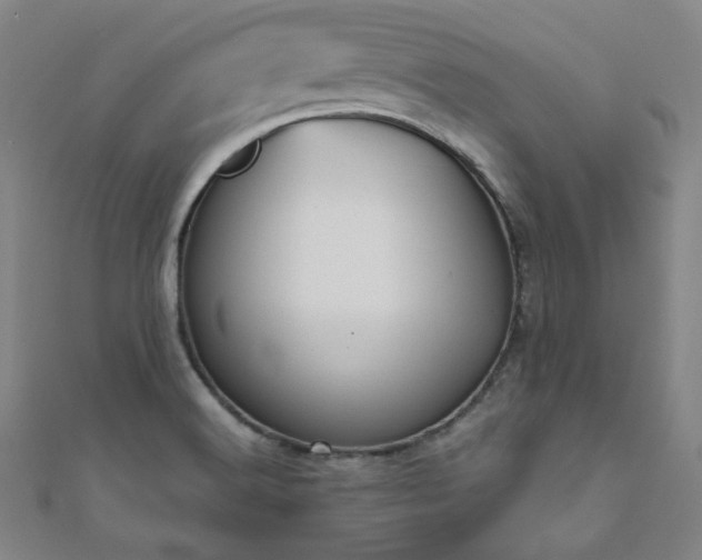 X0000111001516200906191540