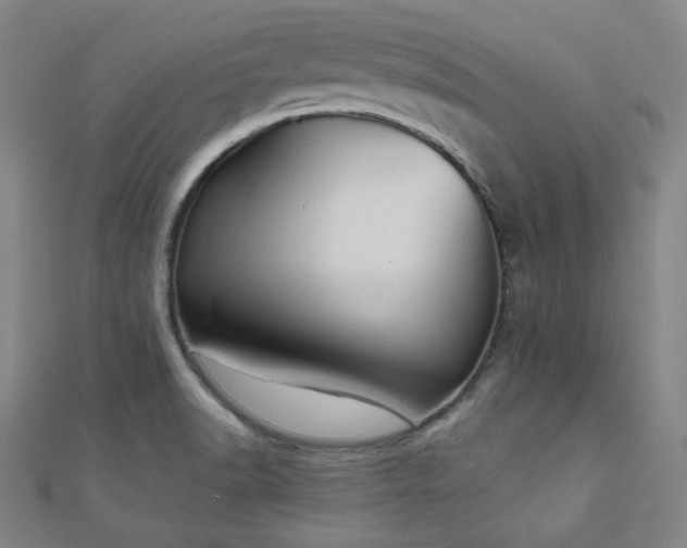 X0000111001518200906191540