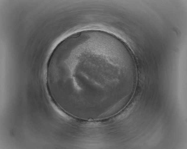 X0000111001519200906191540