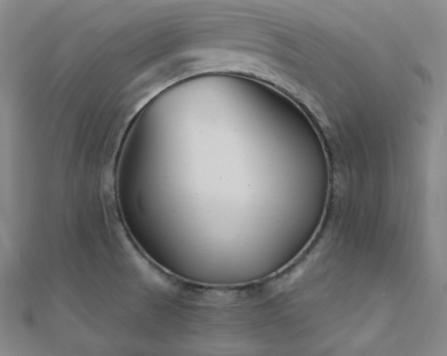 X0000111001521200906191540