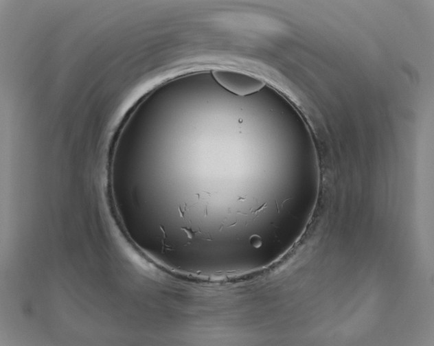 X0000111001523200906191540