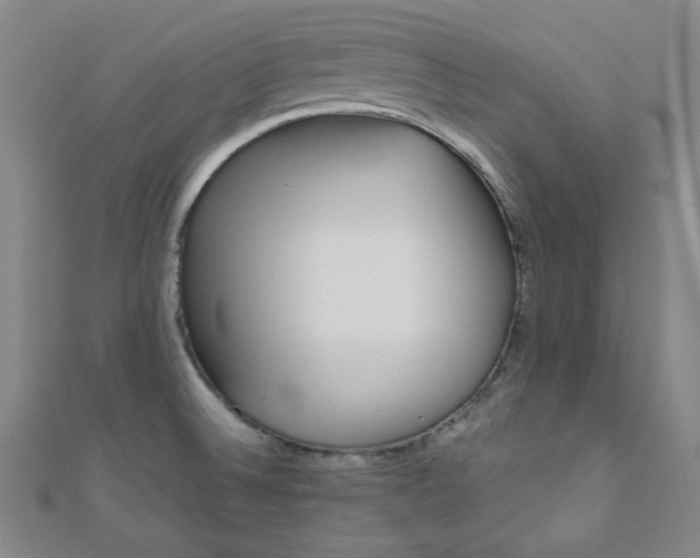 X0000111001524200906191540