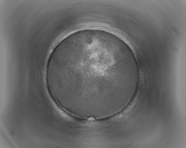 X0000111001525200906191540
