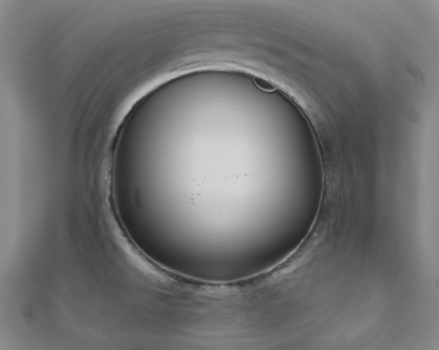 X0000111001526200906191540