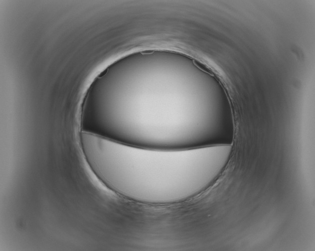 X0000111001528200906191540