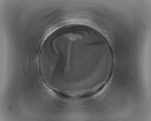 X0000111001529200906191540