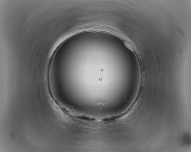 X0000111001530200906191540