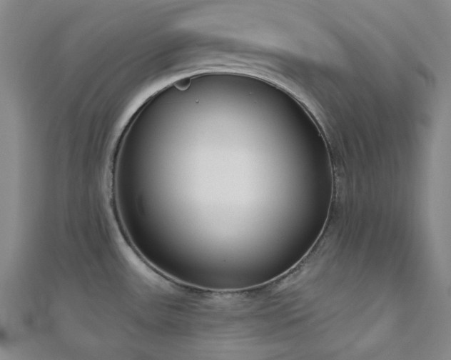 X0000111001531200906191540