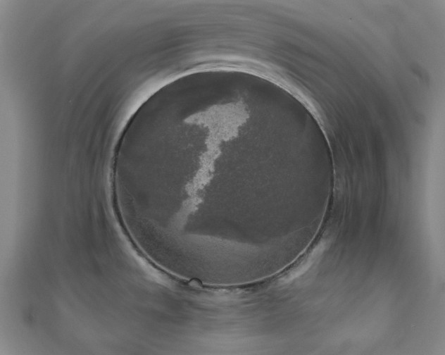 X0000111001533200906191540