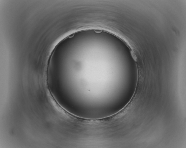 X0000111001534200906191540