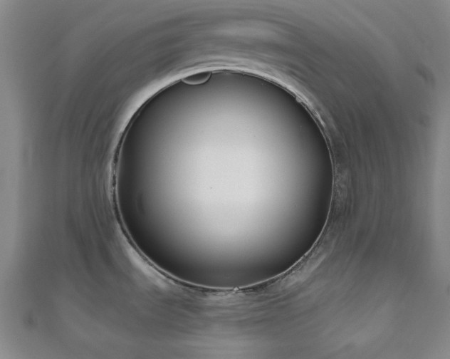 X0000111001535200906191540