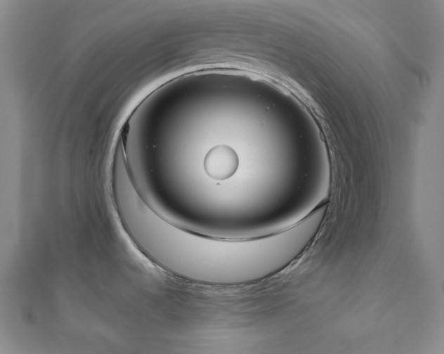 X0000111001536200906191540
