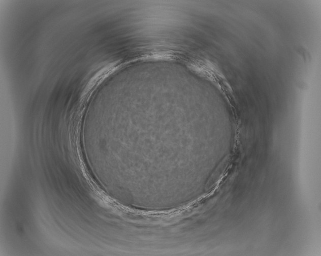 X0000111000001200906261508