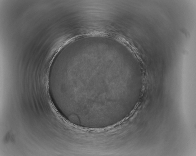 X0000111000002200906261508