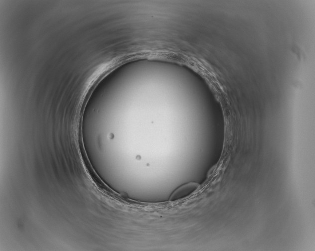 X0000111000003200906261508